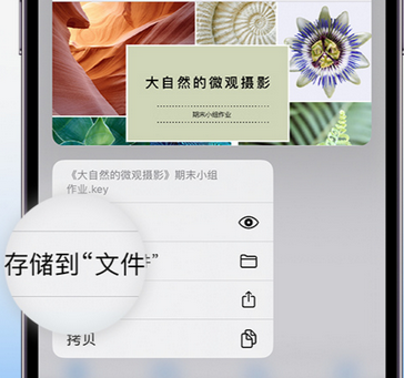 永寿apple维修中心分享iPhone文件应用中存储和找到下载文件