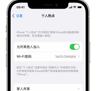 永寿apple服务站点分享iPhone上个人热点丢失了怎么办