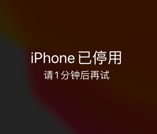 永寿苹果手机维修分享:iPhone 显示“不可用”或“已停用”怎么办？还能保留数据吗？ 