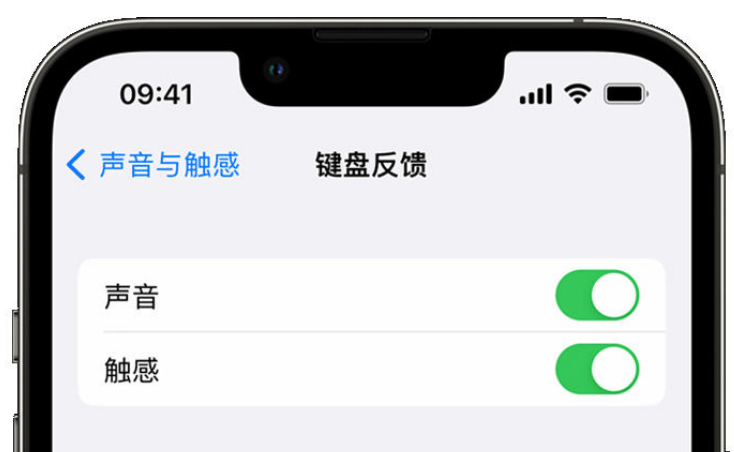 永寿苹果手机维修分享iPhone 14触感键盘使用方法 