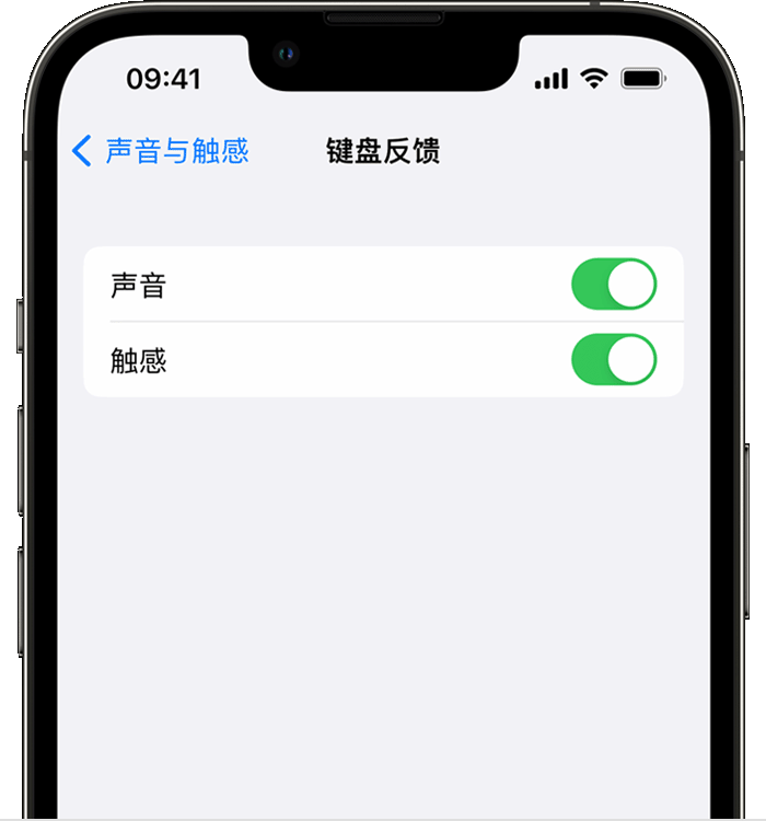 永寿苹果14维修店分享如何在 iPhone 14 机型中使用触感键盘 