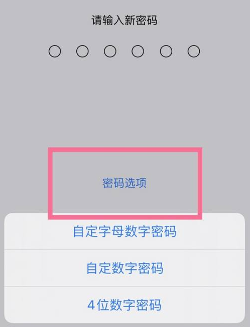 永寿苹果14维修分享iPhone 14plus设置密码的方法 