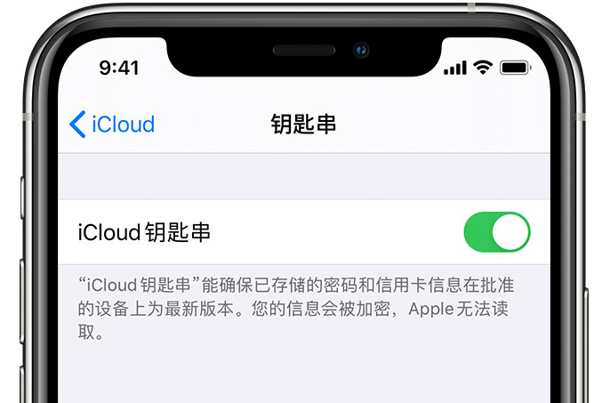 永寿苹果手机维修分享在 iPhone 上开启 iCloud 钥匙串之后会储存哪些信息 