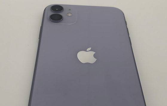 永寿苹果11系统维修分享iPhone11手机系统崩溃无法开机如何解决